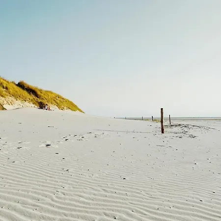 Moderne In Nordseenaehe