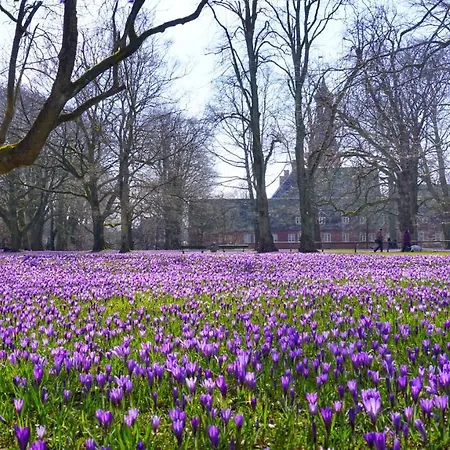 Moderne In Nordseenaehe Mildstedt
