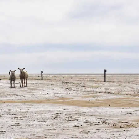 Moderne In Nordseenaehe * Mildstedt